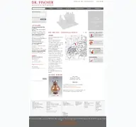 Kleine Seitenvorschau von auctions-fischer.de