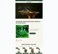 Kleine Seitenvorschau von budcloud.de