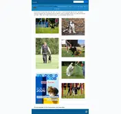 Kleine Seitenvorschau von vsgh.de