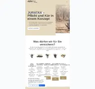 Kleine Seitenvorschau von juratax-konzept.de