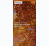 Kleine Seitenvorschau von pallivivo.de