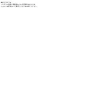 Kleine Seitenvorschau von rakkoserver.net