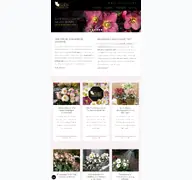Kleine Seitenvorschau von helleborus.de