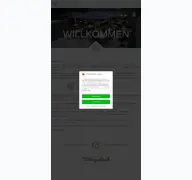 Kleine Seitenvorschau von brauhaus-zum-franziskaner.de
