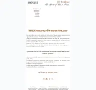 Kleine Seitenvorschau von endless-house.at
