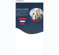 Kleine Seitenvorschau von zollflix.de