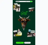 Kleine Seitenvorschau von cowlands.de