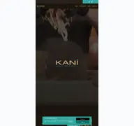 Kleine Seitenvorschau von kani-kebap.de
