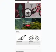 Kleine Seitenvorschau von bikes.com