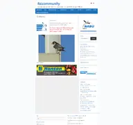 Kleine Seitenvorschau von falcommunity.de