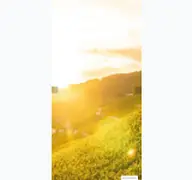 Kleine Seitenvorschau von en.moselland.de