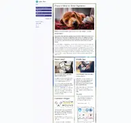 Kleine Seitenvorschau von agilityplaza.com