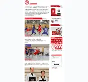 Kleine Seitenvorschau von tsv-n.de