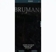 Kleine Seitenvorschau von brumani.de