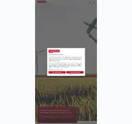 Kleine Seitenvorschau von eoptimum.de