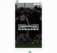 Kleine Seitenvorschau von cronenberger-sc.de