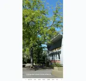 Kleine Seitenvorschau von schule-neckarsteinach.de