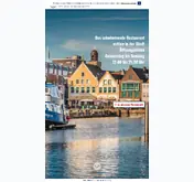Kleine Seitenvorschau von ms-nordertor.de
