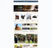 Kleine Seitenvorschau von equi-clic.de