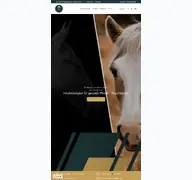 Kleine Seitenvorschau von equisteamer.de