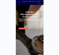 Kleine Seitenvorschau von equivita-pferdephysiotherapie.de
