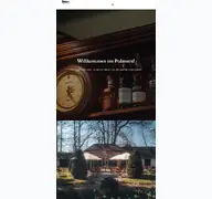 Kleine Seitenvorschau von palmers-landau.de