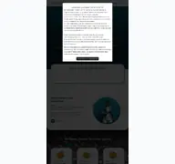 Kleine Seitenvorschau von e-rewards.de