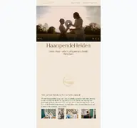 Kleine Seitenvorschau von haarspendehelden.de