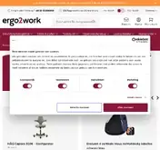 Kleine Seitenvorschau von ergo2work.de