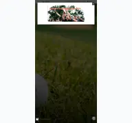 Kleine Seitenvorschau von juragolf.de