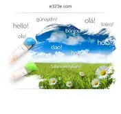 Kleine Seitenvorschau von e323e.com