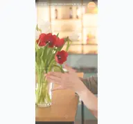 Kleine Seitenvorschau von pluspunkt.ch