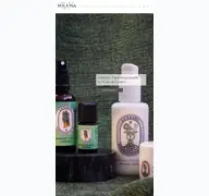 Kleine Seitenvorschau von soluna.de