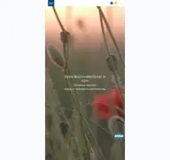 Kleine Seitenvorschau von diwipraxis.de