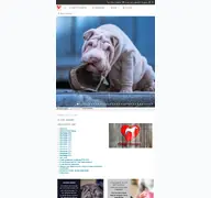 Kleine Seitenvorschau von faltige-herzen.de