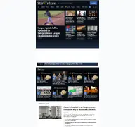 Kleine Seitenvorschau von trib.com