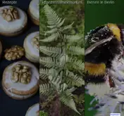 Kleine Seitenvorschau von susanna-komischke.de