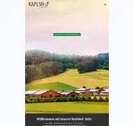 Kleine Seitenvorschau von q-land.de