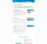 Kleine Seitenvorschau von dass-it.de