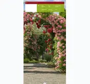 Kleine Seitenvorschau von europa-rosarium.de