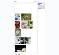 Kleine Seitenvorschau von fotop.net