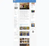 Kleine Seitenvorschau von ballonmeister.de