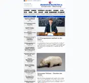Kleine Seitenvorschau von mannheimer-nachrichten.de