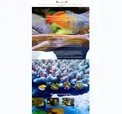 Kleine Seitenvorschau von aquaristikoase-sachsen.de