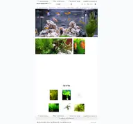 Kleine Seitenvorschau von aquariumpflanzen.de