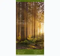 Kleine Seitenvorschau von pietaet-kempf.de