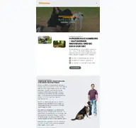 Kleine Seitenvorschau von dogmartens.de