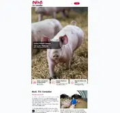 Kleine Seitenvorschau von gebrueder-niess.de