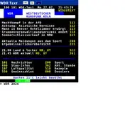 Kleine Seitenvorschau von mobiltext.wdr.de