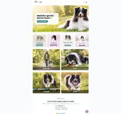 Kleine Seitenvorschau von pitupita-shop.de